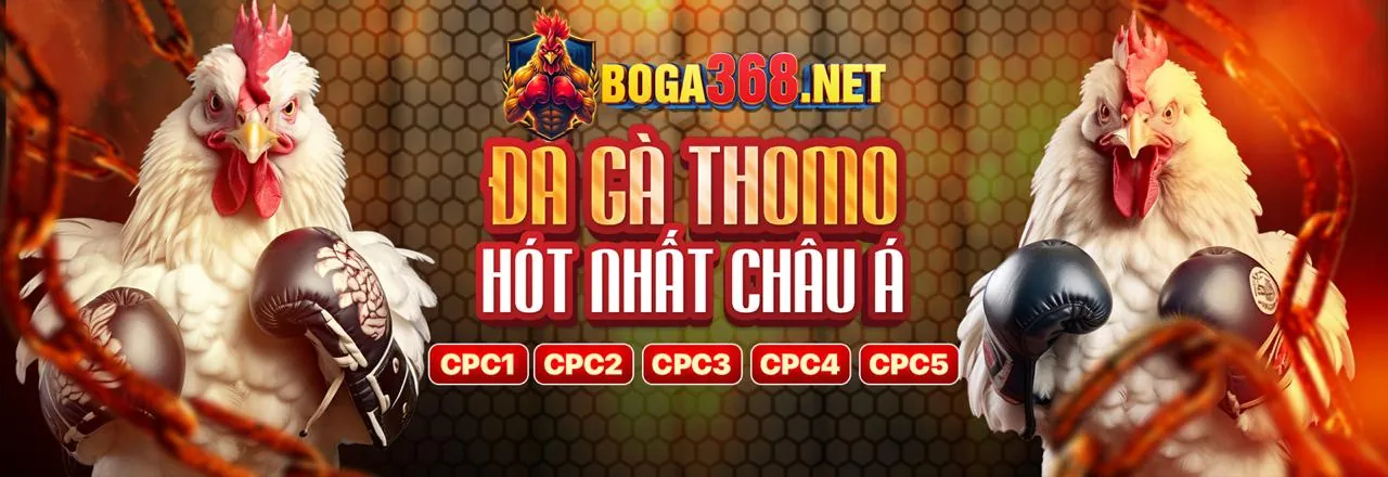 Cá cược có trách nhiệm tại 79king78 nhà cái