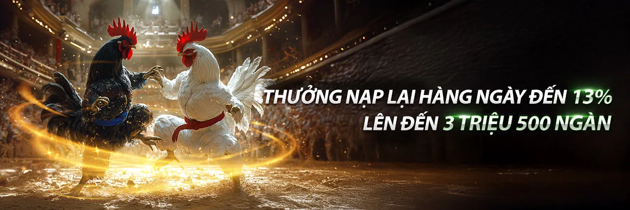 Chương trình VIP độc quyền tại 79king78 nhà cái